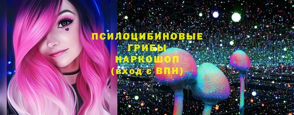 ГАЛЛЮЦИНОГЕННЫЕ ГРИБЫ Баксан