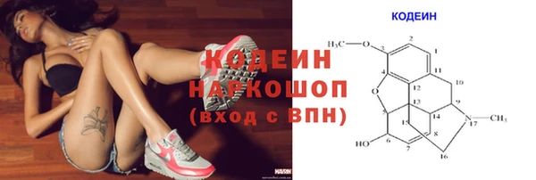 ГАЛЛЮЦИНОГЕННЫЕ ГРИБЫ Баксан