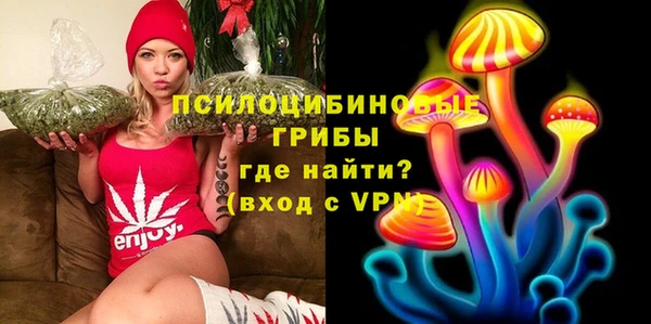 амф Балахна