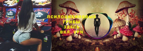 ГАЛЛЮЦИНОГЕННЫЕ ГРИБЫ Баксан