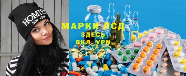 PSILOCYBIN Осинники