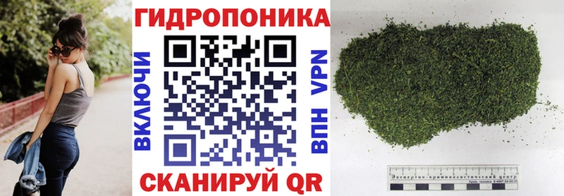 цены   площадка клад  Канабис конопля  Урус-Мартан 